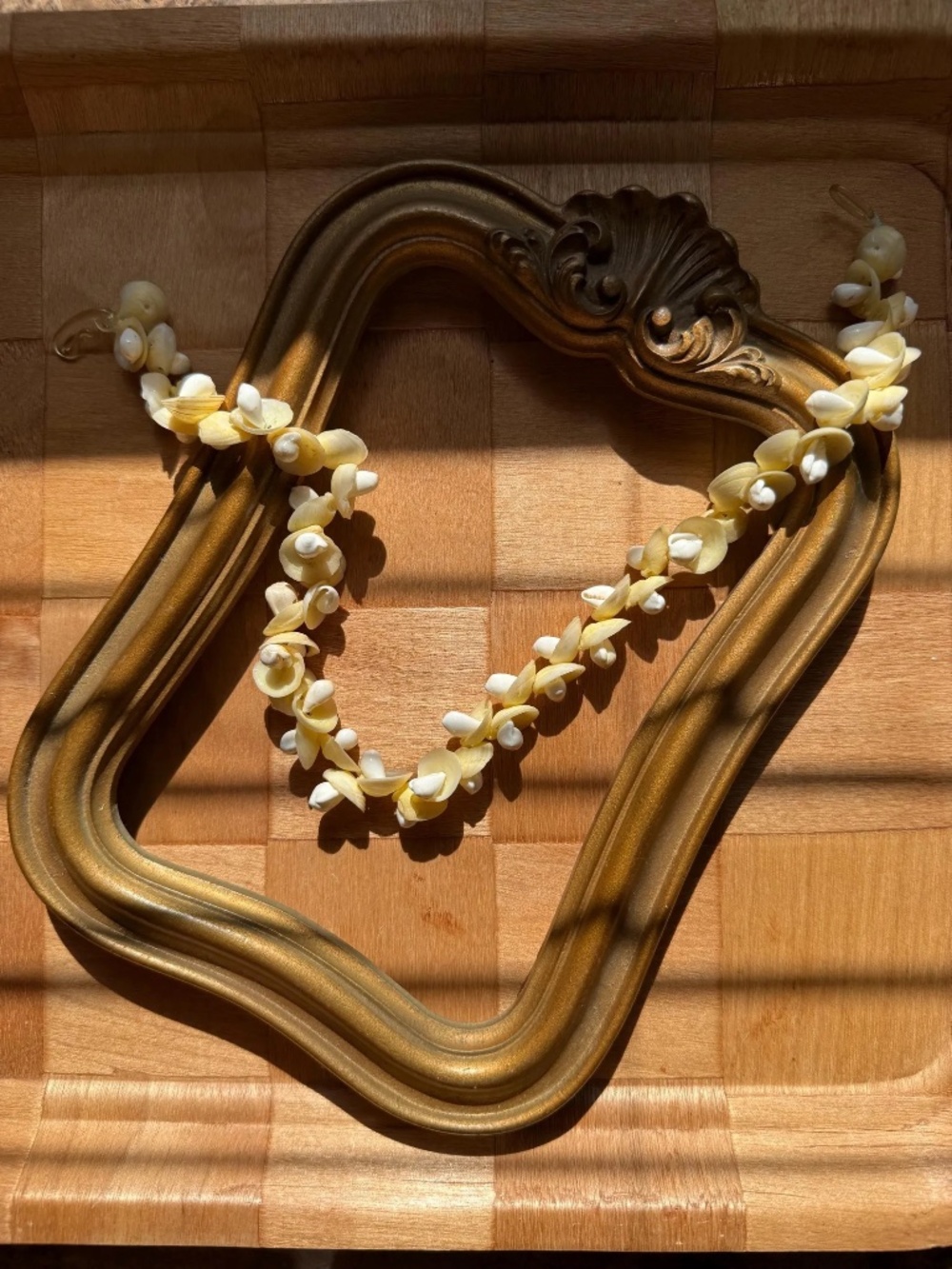 Vintage 40s Cowrie Shell Necklace